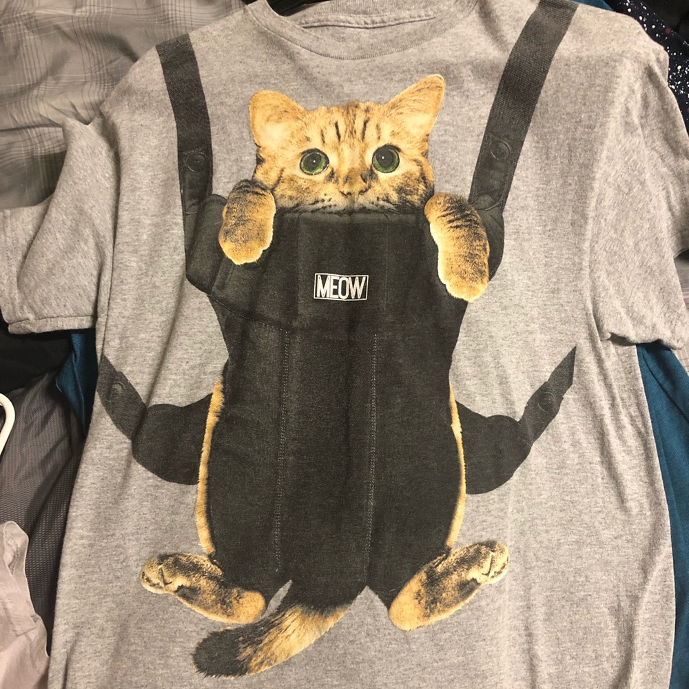 Grey T-shirt with cat in baby Bjorn